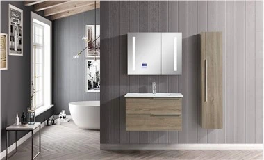Wall Mounted Paint Free Bathroom Vanity